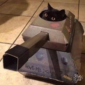 Foto von Kitty Kovacs