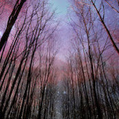 Rosa Barretta's photo