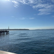 E Bender's photo