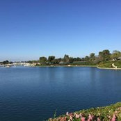Mike Rose's photo