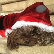 Marilyn Dickson's photo