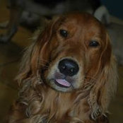 Roberto Montoya's photo