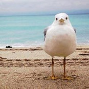 Richard Jhang's photo