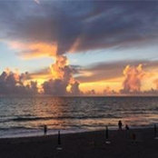 Ann Melino's photo