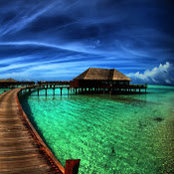 Shrey Patel's photo