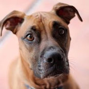 Cory Weiher's photo