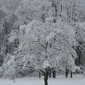 Kimberly Smith's photo