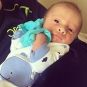 Nick Gerber's photo