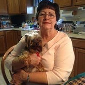 Ann Rigg's photo