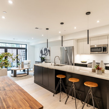 Southwest DC Duplex Renovation