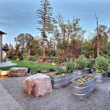 Landscape Ideas