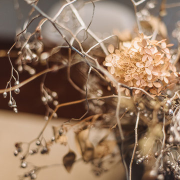 Jen & Andrew Peters: their home goes