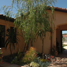 Desert style