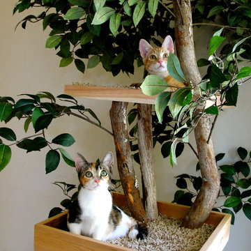 Client Photos of their cat enjoying their Pet Tree House