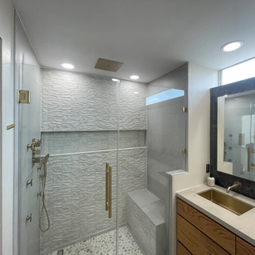 Contemporary Primary Bathroom Remodeling in Houston, TX Montrose area