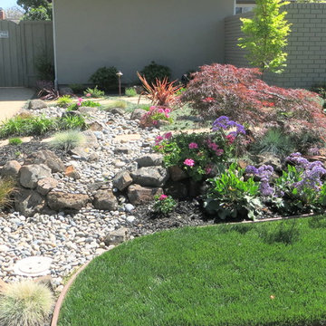 Low Water Gardens
