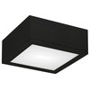 WAC Lighting Rubix 10" Indoor or Outdoor LED Flush Mount, Black