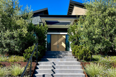 Modern Home in Hillsborough