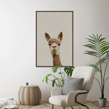"Llama Face VI" Floater Framed Painting Print on Canvas
