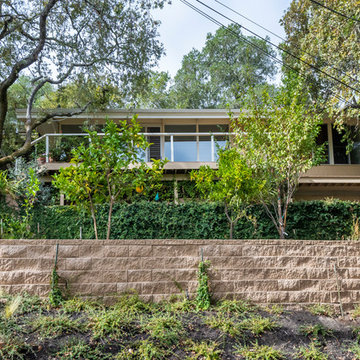 Lafayette Tree House