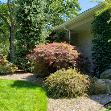 Design around existing trees