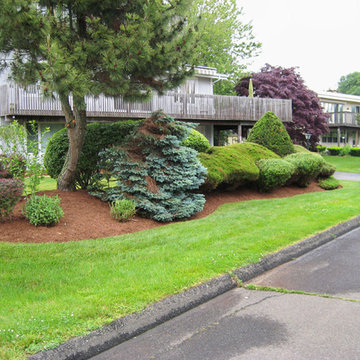 Landscape Bed Management