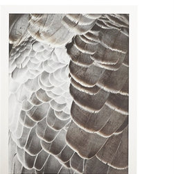 GOOSE FEATHERS WALL ART - Prints And Posters