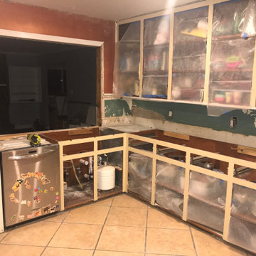 Home Remodel