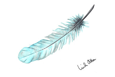 Turquoise feather