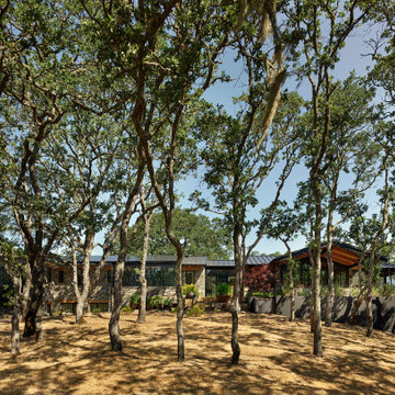 Portola Valley Design: Cedar and Stone