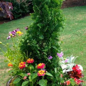 Spring Container Planting