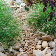 Dry Creek