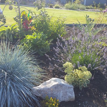 Edible Front Yard