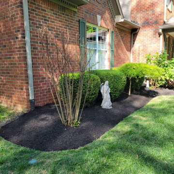 Alberto Alavez Professional Lawn Services LLC 16