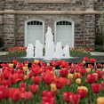 In-Site Design Group's profile photo