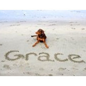 Grace Martin-Wongさんの写真