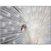 Marilyn Bioni's photo