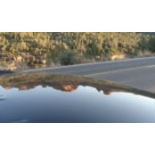 Deb Halsey's photo