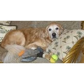 Colleen Hannon's photo