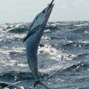 Carl McIntyre's photo