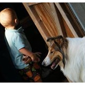 Foto von Tara McClelland