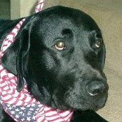 Barbi Pfeifer Atkinson's photo
