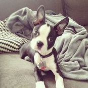 Foto de Beth Hanson

