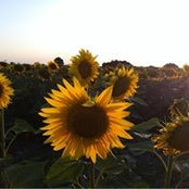 Barbara Prescott's photo