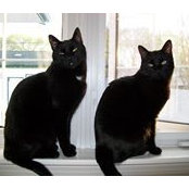 Tamara Gagne's photo