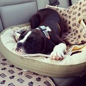 Miranda Silverthorn's photo