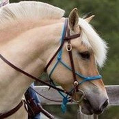 Meredith Sessoms's photo