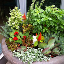 Pots