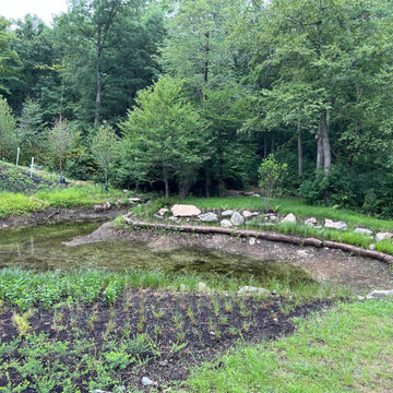 Coir logs are visible, demonstrating the pond's landforms