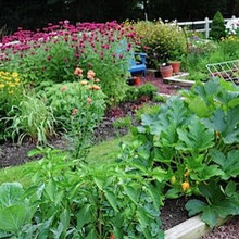 5 Tricks for Keeping Your Garden Fresh in Hot Su